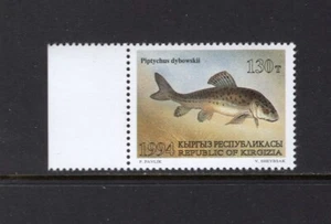 KIRGUISTÁN 1994 PECES, PECES CIPRÍNIDOS SIN MONTAR O NUNCA MONTADO SC 50 - Imagen 1 de 1