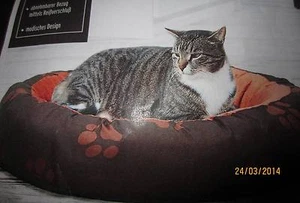 Hunde & Katzen Haustierbett, Haustier Zubehör , Haustiere ,Bett * NEU * - Bild 1 von 1