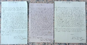 KK905-BOTANICA-ZOOLOGIA ECC...FORTUNATO LUIGI NACCARI-3 LETTERE AUTOGRAFE - Picture 1 of 1