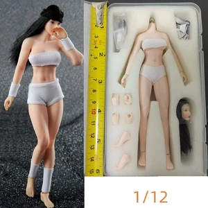 1/12 Middle Bust PALE 6" TBLeague PHICEN Female Figure Body with Head Sculpt Toy - Picture 1 of 9