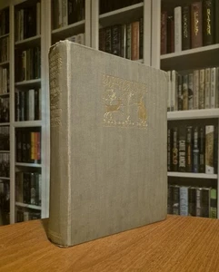 First Edition Arthur Rackham: Little Brother & Little Sister, 1917 - Imagen 1 de 19