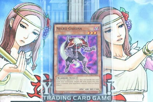 Yugioh Necro Gardna THSF-EN034 1st Edition Super Rare - Picture 1 of 2