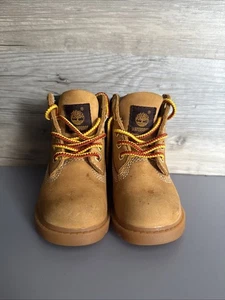 Timberland Toddler Size 5 1/2 - Picture 1 of 4