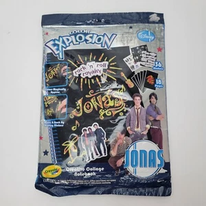 Crayola Color Explosion Jonas Brothers - Picture 1 of 7
