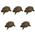  5pcs Jewelry Trinket Box Dressing Table Rings Necklace Holder Turtle Shaped