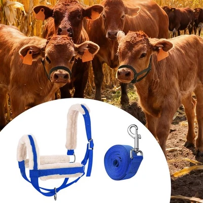 Halter de Vaca con Cuerda Líder Rancho Uso Diario Toro Brida para Bueyes Oveja Toro Foto 1 de 2