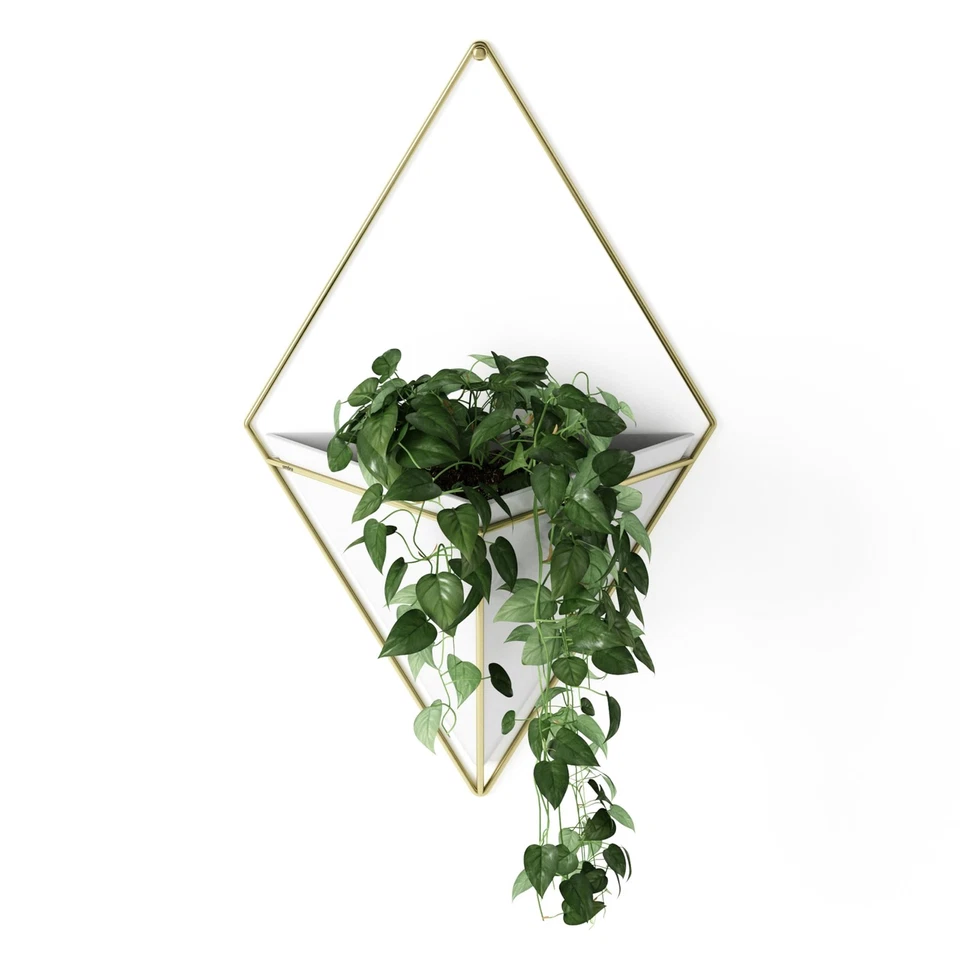 3size Umbra Trigg Hanging Planter Vase Geometric Wall Decor Container Wall Art