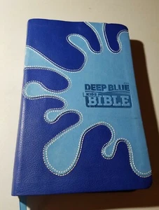 Deep Blue Kids Bible Common English CEB, Like New Silver Gilded Edge, 2012, Soft - Picture 1 of 10