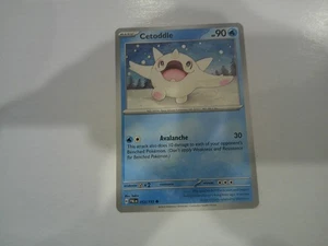 Cetoddle 053/193 Pokemon SV: Paldea Evolved - Picture 1 of 2