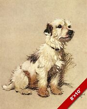TERRIER PET PUPPY DOG ANIMAL ART CECIL ALDIN PAINTING PRINT ON REAL CANVAS