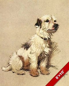TERRIER PET PUPPY DOG ANIMAL ART CECIL ALDIN PAINTING PRINT ON REAL CANVAS - Picture 1 of 1