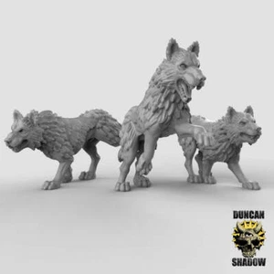 Lupi | Duncan Shadow | Compatibile con Dungeons & Dragons e Pathfinder - Foto 1 di 9