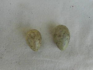 Replica Birds Eggs SNIPE & JACK SNIPE 2 EGGS - Picture 1 of 1