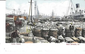 NEW ORLEANS, LOUISIANA POSTCARD LEVEE SCENE LOTS OF COTTON Man Leaning on Bale - Picture 1 of 2