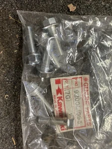 Kawasaki NOS NEW 92001-1095 Bolt 8x28 QTY 6 KZ1300 KZ1000 KZ750 KZ550 KZ 440 400 - Bild 1 von 2