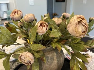 Viral Tan Peony Stem by Ashland®Item # 10679183 - Picture 1 of 4