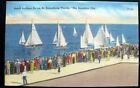 1950s Crowds on Dock Watching Small Sailboat Races at St. Petersburg, Florida 