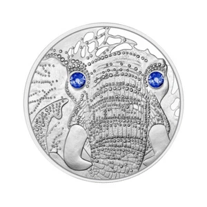 La sérénité de l'Eléphant - 20 Euros Argent BE 2022 - Eyes of the World - Afbeelding 1 van 2