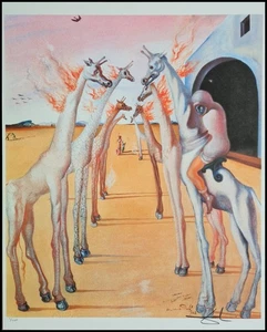 SALVADOR DALÍ * Las llamas...* 50 x 40 cm * Litografía firmada * limitada # x/1000 - Imagen 1 de 8