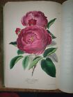 1848 THE ROSE GARDEN IN 3 DIVISIONS BY PAUL 15 COLOUR PLATES FLOWERS GARDENING *