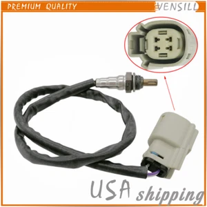 Upstream Oxygen Lambda Sensor 32700005 For V-Rod Dyna Softail Blackline 12-17 - Foto 1 di 4