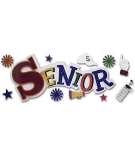 Jolee's Senior High School College Graduation Sticker NIP Free Shipping SPJT72 - Picture 1 of 1