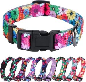 Dog Collar for Small Dogs Floral Pattern for Girl Boy Dogs Small - Picture 1 of 12