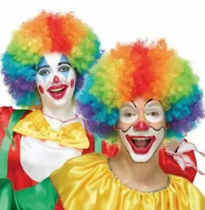 1 CLOWN PERÜCKE ERWACHSENE JUGEND 14+ Halloween Perücke Kostüm Cosplay Verkleiden Accessoire - Bild 1 von 6