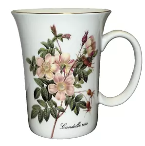 Stechcol Gracie Bone China Candolle Rose Blume Kaffeebecher PERFEKT Muttertag - Bild 1 von 4