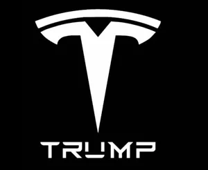 Tesla x Trump Sticker, Elon Musk Donald Trump Collab Vinyl Decal - Foto 1 di 2