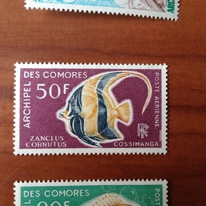 Comores PA 23 ** MNH Poisson en 1968 - Bild 1 von 1