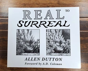 Real to Surreal von Allen Dutton - Bild 1 von 3