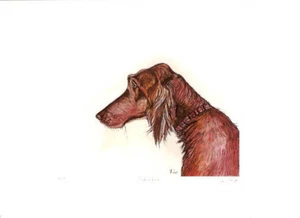 Irish Setter Limited Edition Art Print by UK Artist Elle Wilson Madra Rua - Picture 1 of 1