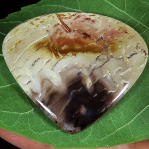 Petrified Palm Agate Heart Cabochon Loose Gemstone 96.80 Cts 47x39x7 mm jt355 - Picture 1 of 7