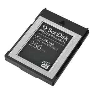 SanDisk Professional CFexpress 256 Go Pro-Cinema VPG400 Type B, carte mémoire - Photo 1/1