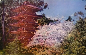 Cartolina San Francisco Oriental Tea Garden Pagoda Golden Gate Park - Foto 1 di 2