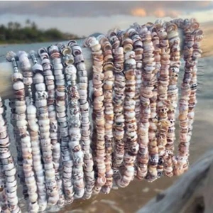 Hawaiian Store Natural Cone Puka Shell Choker Necklace (Choose size and shade) - Picture 1 of 12