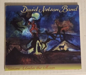 David Nelson Band - Visions Under the Moon (CD, Apr-1999, High Adventure) - Imagen 1 de 5