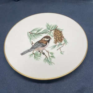 Vintage Schumann Arzberg Germania Chickadee pigna piatto bordato oro, 7,5" - Foto 1 di 3