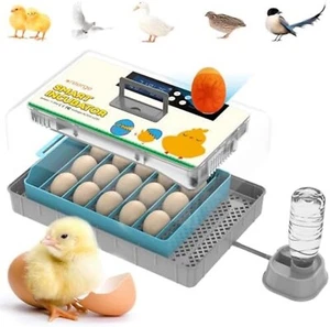 Incubadora De Huevos Automatica Para Huevos De Pato Gallina Codorniz 15 Huevos - Picture 1 of 5
