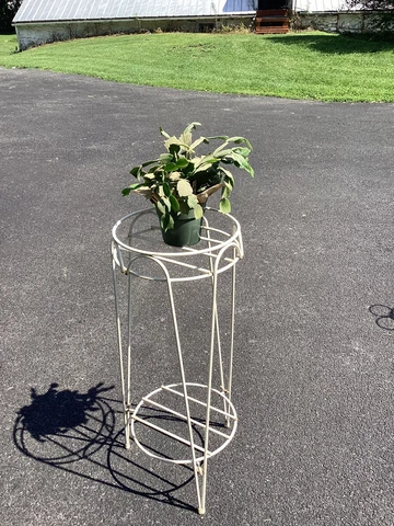 Vtg Atomic space age Iron Architectural Garden Plant Stand patio MCM antique Cover
