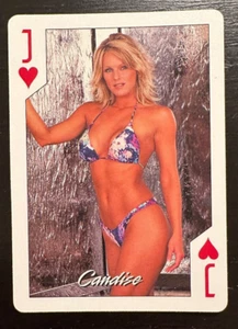 Hooters 2003 Calendar pin-up swap card - Candise - Picture 1 of 2