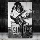 Black and White Canvas Painting Funny Posters Monkey Reading Newspaper Wall Art