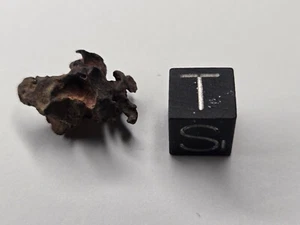 Imilac Stein-Eisen Pallasit Atacama, Chile gefunden 1822 4,87 Gramm - Bild 1 von 6