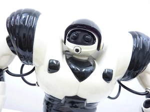 WowWee Robosapien sprechender humanoider Roboter m. Fernbedienung und Anleitung - Bild 1 von 24