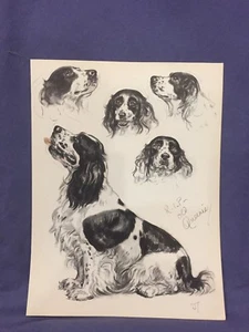 Diane Thorne Cocker Spaniel RIP Old Queenie estampado - Imagen 1 de 5