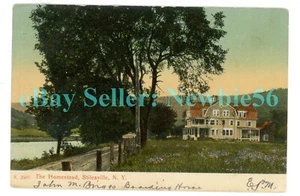 Stilesville NY - HOMESTEAD HOTEL ON RIVER - Postcard Catskills nr Deposit - Imagen 1 de 2