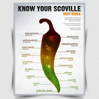 METAL SIGN WALL PLAQUE Scoville Heat Scale Chillies kitchen man cave cafe bar - Image 1 of 3