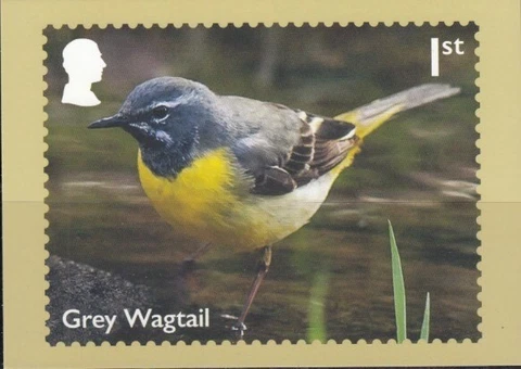 GREAT BRITAIN River Wildlife-Grey Wagtail PHQ Card Cover