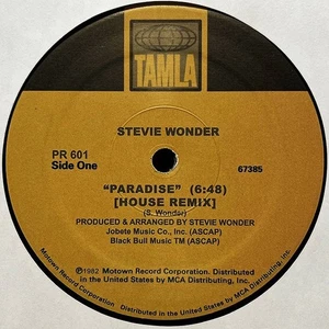 STEVIE WONDER " PARADISE " / " PASTIME PARADISE " NEW 12 VINYL HOUSE MIXES - Picture 1 of 2